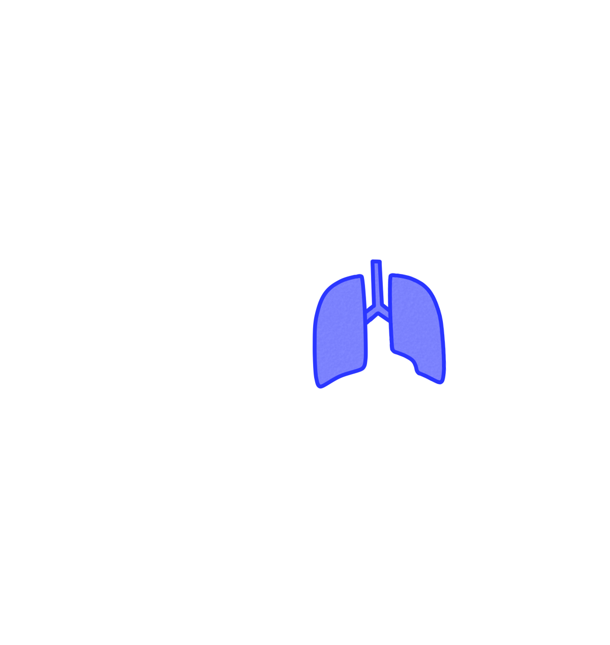 肺　カラー